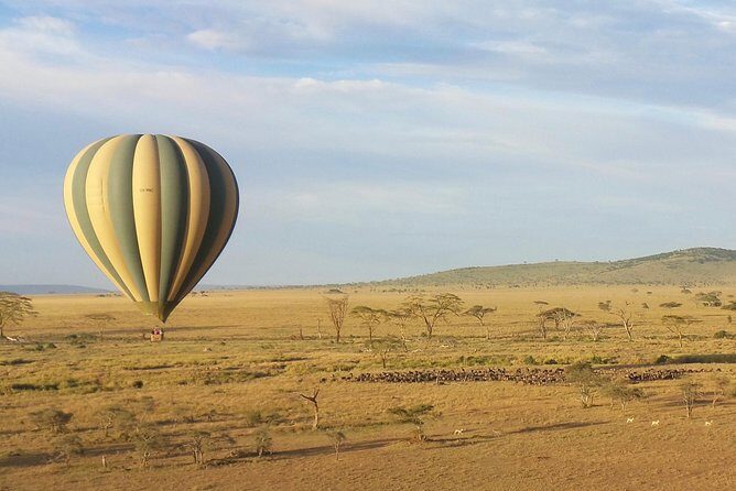 Serengeti Balloon Safari and authentic bush breakfast - What Makes This Serengeti Balloon Morning Worth the Money
