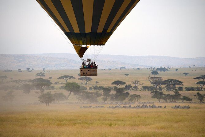 Serengeti Balloon Safari and authentic bush breakfast - What the Flight Feels Like: Quiet, Unhurried, and Sharp