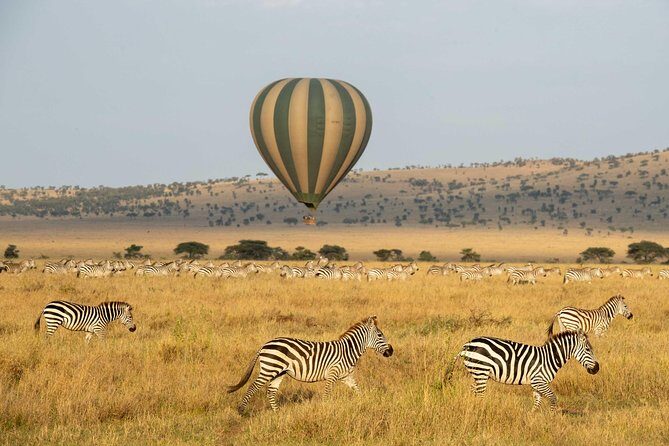 Serengeti Balloon Safari and authentic bush breakfast - Wildlife From Above: How to Set Your Expectations