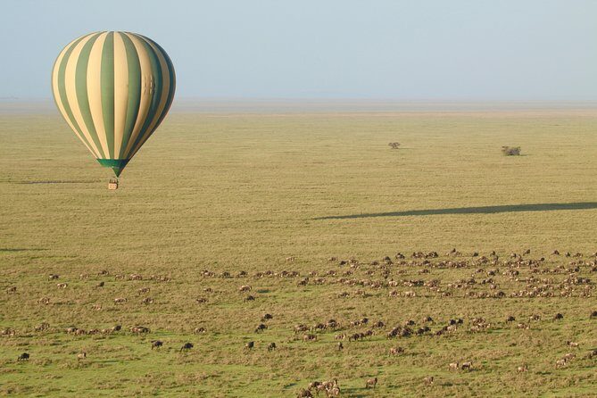 Serengeti Balloon Safari and authentic bush breakfast - Group Size: Small Enough to Feel Personal