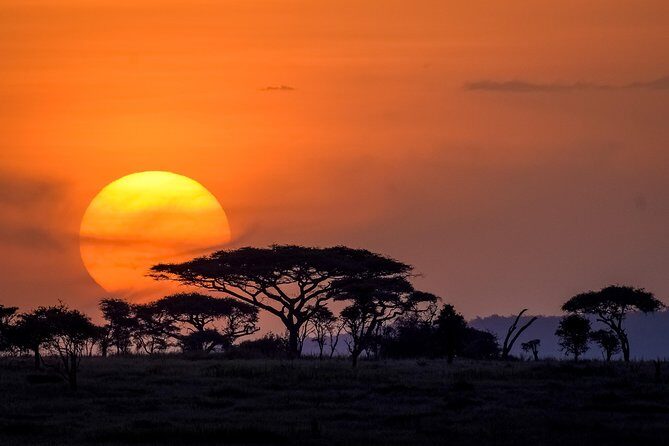 Serengeti & Ngorongoro 3 days Fly Safari in from Zanzibar - Lodge or Tents, plus Meals: How the Comfort Pieces Fit Together