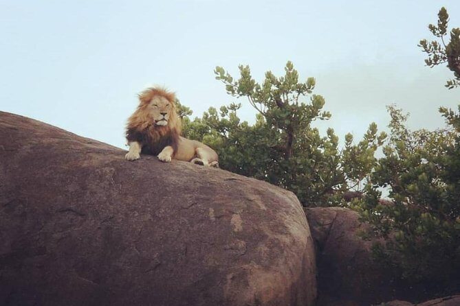 Serengeti & Ngorongoro fly in safari - Price and what $2,750.77 per person is (and isn’t) covering