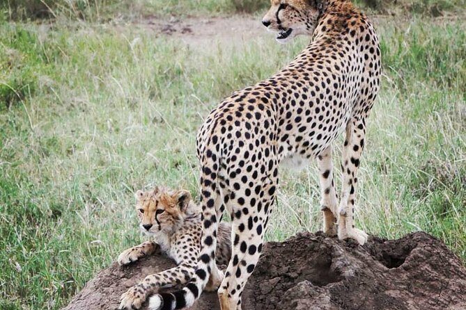Serengeti & Ngorongoro fly in safari - Guides, cooking, and the human side of the safari