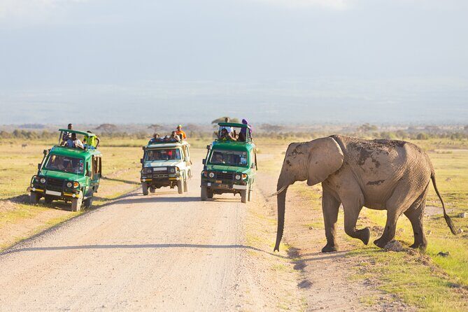 Serengeti & Ngorongoro fly in safari - The fly-in setup that makes this 3-day safari feel longer