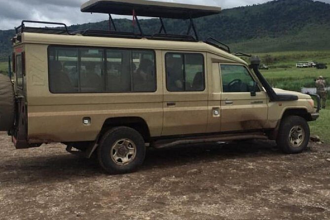 serengeti, ngorongoro & tarangire 5days private tour - Price and Value: What $2,461.54 per Person Usually Means