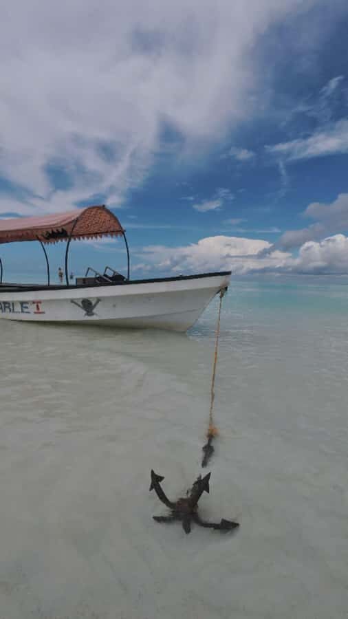Snorkel Mnemba’s Reefs & Swim with Dolphins Adventure - The boat ride, fruit stop, and small comforts that matter