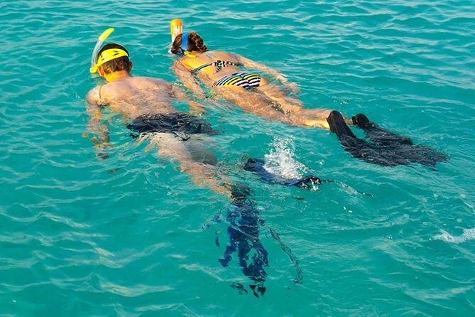 Snorkeling at Mnemba Atoll - Quick highlights you should know