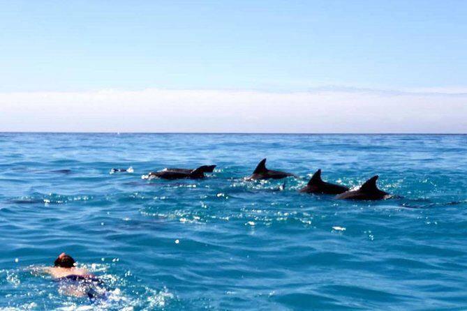 Snorkeling at Mnemba Atoll - Hotel pickup and private boat: small logistics with big payoff