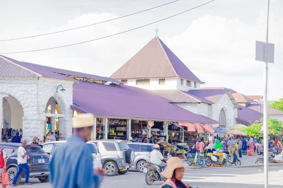 Stone Town's Hidden History: Private Guided Walking Tour - House Stops Beyond the Usual: Mercury’s Place and Stone Town’s Quieter Corners