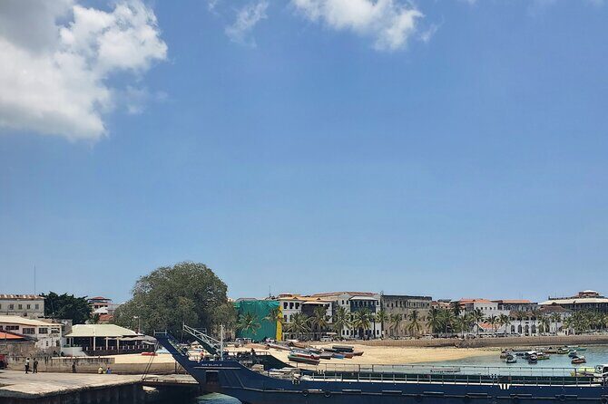 Stonetown Private Half-day Walking Tour - Forodhani Gardens: sunset views and the food market vibe