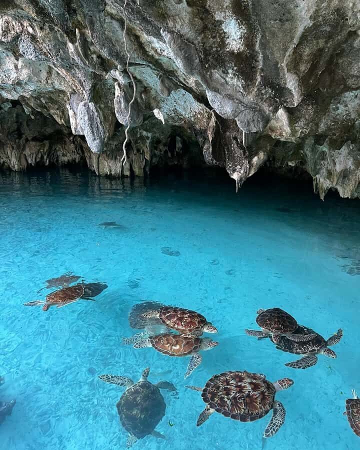 SWIMMING WITH TURTLES AT SALAAM CAVE AT KIZIMKAZI ZANZIBAR - Swimming with turtles in the cave: what it actually feels like