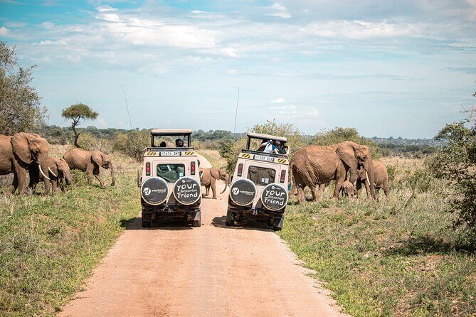 Tanzania Classic - 7 Days - Price and Value: $3,913.24 Per Person, and What You Actually Get