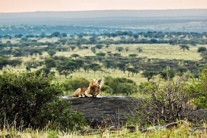 Tanzania Classic - 7 Days - What the Included Meals and Lodging Really Mean for Your Safari
