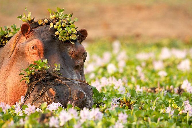 Tanzania Enticing Explorations - 6 Days - Serengeti: The big awe-factor arrives with the Rift Valley drive