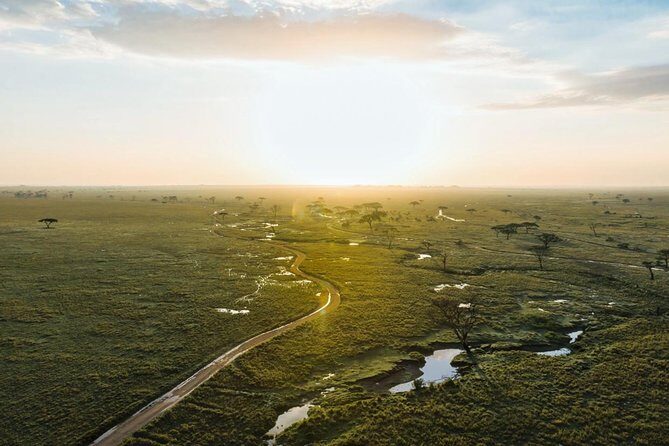 Tanzania Enticing Explorations - 6 Days - Serengeti morning drive: Better light, better chances