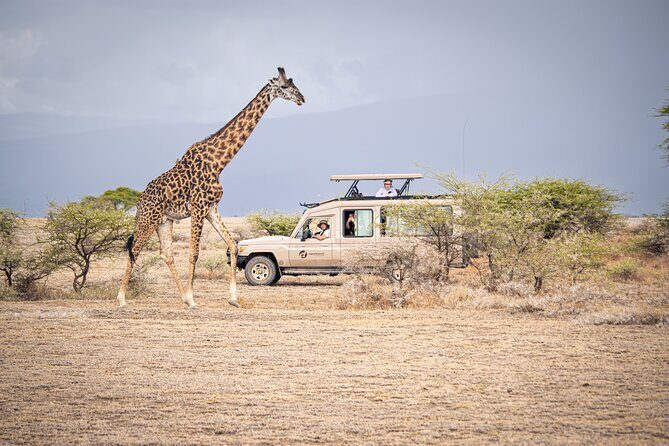Tanzania Enticing Explorations - 6 Days - Ngorongoro Conservation Area and the Crater: You’re aiming for dawn