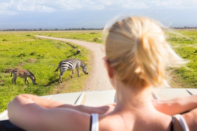 Tanzania Simba Safari - 5 Days - Ngorongoro Conservation Area: arriving ready for the crater day