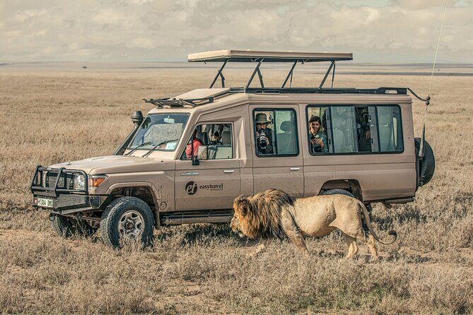 Tanzania Simba Safari - 5 Days - Day 5 Ngorongoro Crater sunrise drive and picnic lunch
