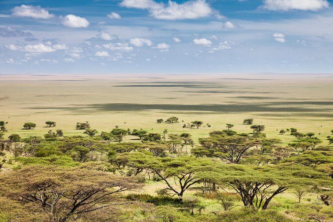 Tanzania Through The Rift Valley - 5 Days - Day 2 Lake Manyara: early game viewing and a picnic lunchbox plan