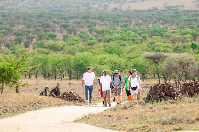 Tanzania Wildlife Encounters - 6 Days - Camps and Meals: What’s Included and Why It Feels Easier in Real Life