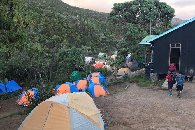 The 6 Days Kilimanjaro Climbing Tour via Machame Route in 2025/26 - Should you book the 6 Days Kilimanjaro Machame climb in 2025/26?