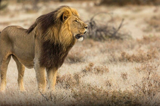 The best Selous 1 day safari from Zanzibar - Price and value: What $550 includes (and what it doesn’t)