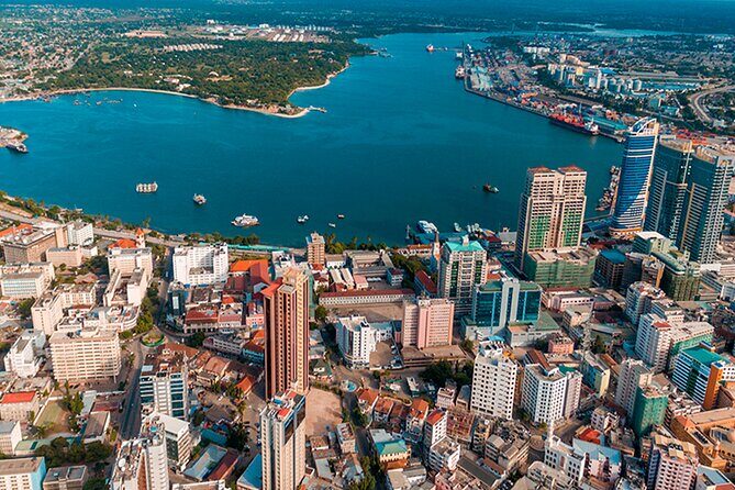 The Best/Top Rated Cultural City Tour in Dar es Salaam - Kivukoni Fish Market: seafood, pricing, and a working-day vibe (20 minutes)