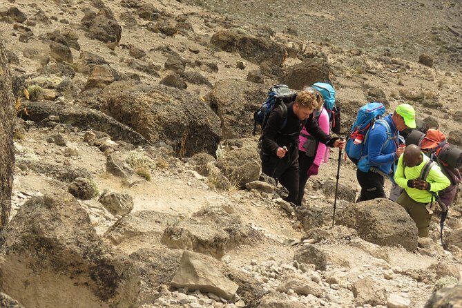 The Best & Unique Kilimanjaro Hiking tour 7 days Machame route - Moshi Logistics: Pickup, Meeting Point, and Private Transfer Flow