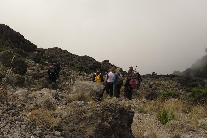 The Best & Unique Kilimanjaro Hiking tour 7 days Machame route - How Hard Is It, Really? A Practical Fitness Read