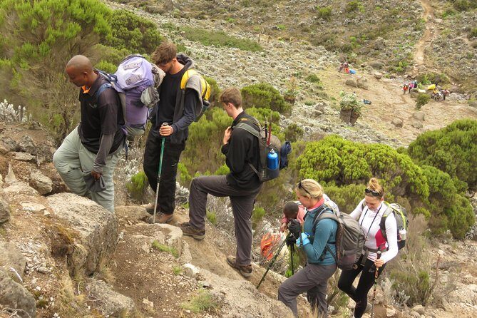 The Best & Unique Kilimanjaro Hiking tour 7 days Machame route - Your Guide and Team: English Support and Pace Control