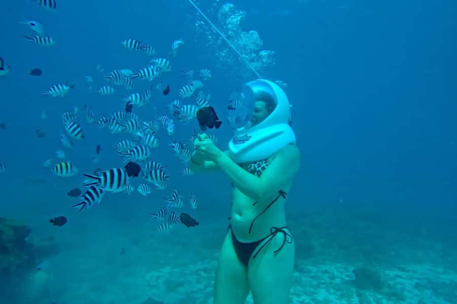 Underwater Walking Experience in Zanzibar,No Swimming Needed - Photos and video: plan for the add-on