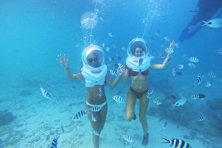 Underwater Walking Experience in Zanzibar,No Swimming Needed - Price and value: is $60 per person reasonable?