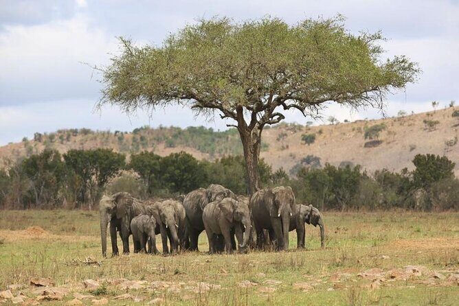 Unforgettable Tanzania Safari And Zanzibar Beach - Flying to Zanzibar: the smooth gear shift from dust to beach