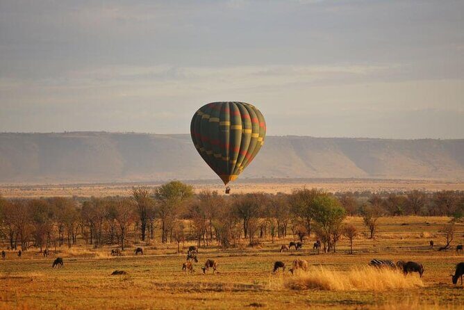 Unforgettable Tanzania Safari And Zanzibar Beach - Tarangire National Park: elephants, baobabs, and river-crossing odds