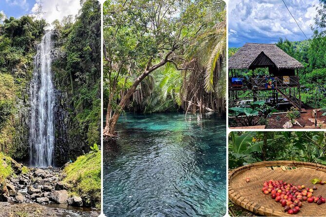 Waterfall, coffee tour & hot springs - lunch and drinks included - Key highlights