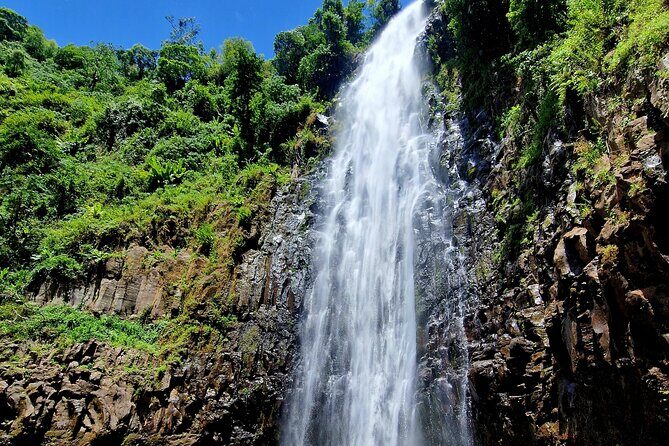Waterfall, coffee tour & hot springs - lunch and drinks included - Kikuletwa Hot Springs (Chemka): swim, unwind, and keep your eyes up for monkeys