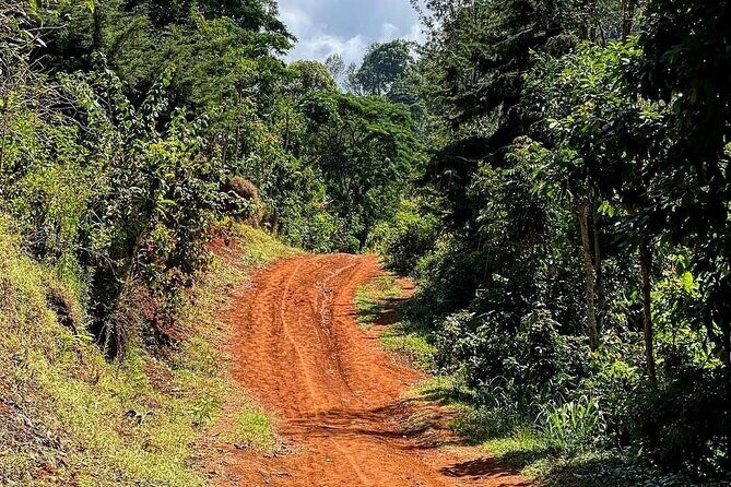 Waterfall, coffee tour & hot springs - lunch and drinks included - The guide makes the day: Frank’s pacing, English, and photo help