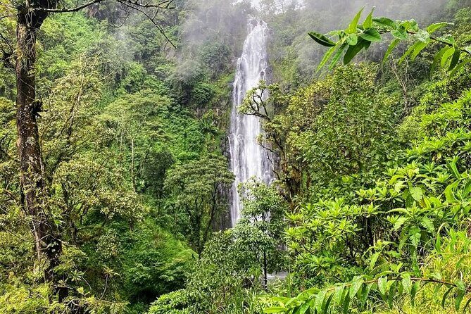 Waterfall, coffee tour & hot springs - lunch and drinks included - What to pack so the day feels easy