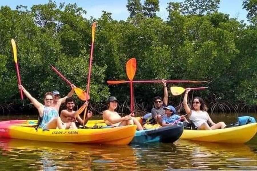 Zanzibar: 3-hour Kayak Tour through the Mangrove Forest - Key highlights worth your attention