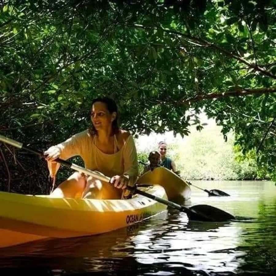 Zanzibar: 3-hour Kayak Tour through the Mangrove Forest - Zanzibar Mangrove Kayaking Starts in Unguja Ukuu