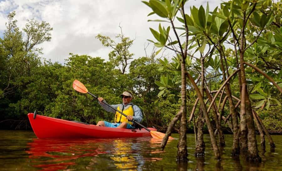 Zanzibar: 3-hour Kayak Tour through the Mangrove Forest - The end stretch: rock formations and bird-spotting opportunities