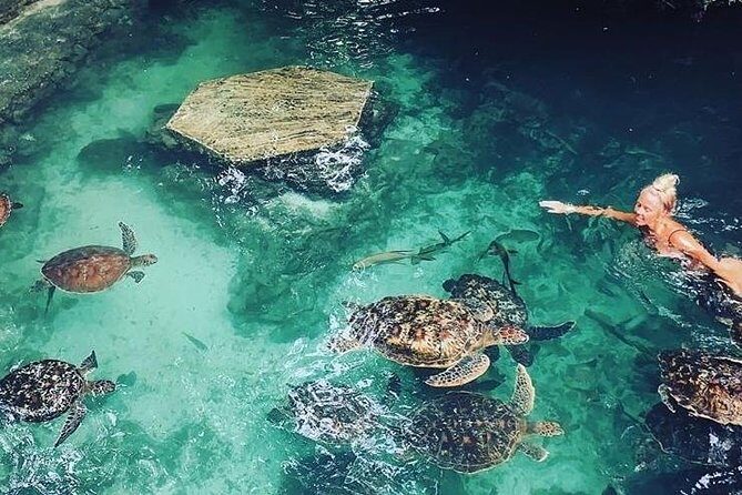 Zanzibar Adventures - Price and value: $80 for a private day that includes the comfortable stuff