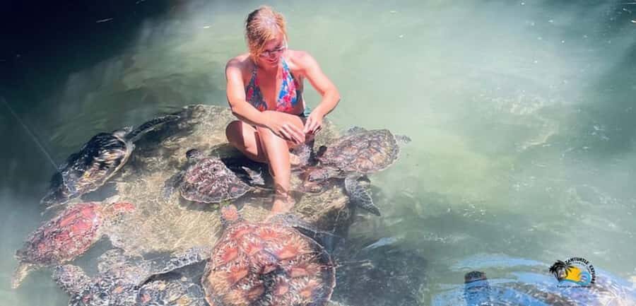 Zanzibar: Baraka Aquarium Feed, Swim & Snorkel with Turtles - Baraka Natural Aquarium: what this turtle swim is really about