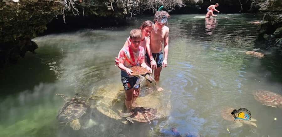 Zanzibar: Baraka Aquarium Feed, Swim & Snorkel with Turtles - The natural tidal pool behind the beach: why this setting feels special