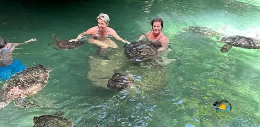 Zanzibar: Baraka Aquarium Feed, Swim & Snorkel with Turtles - FAQ