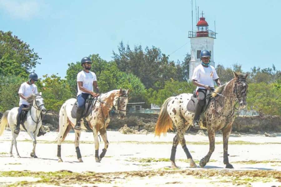 Zanzibar: Beach Horseback Ride and Swim with the Horse - From hotel pickup to the stable: how the experience starts