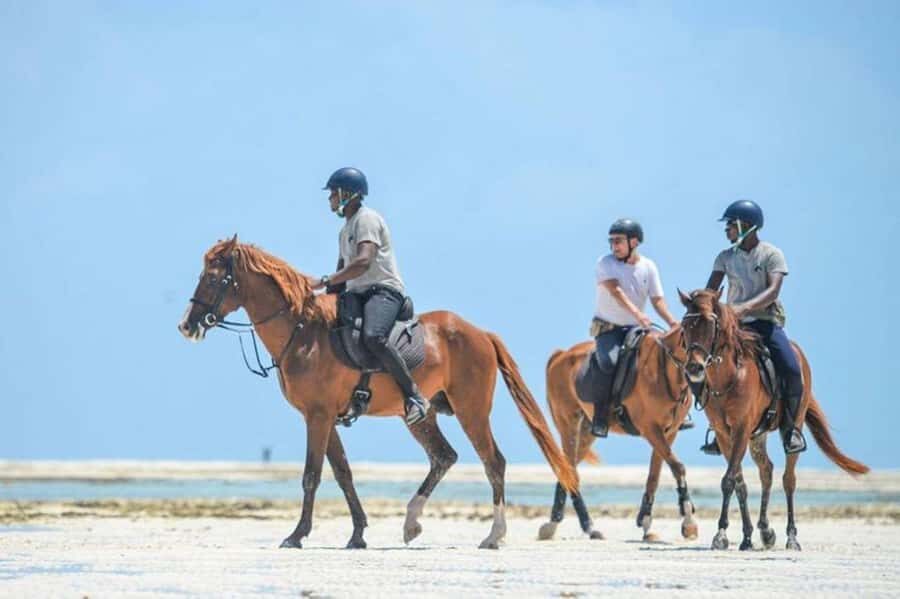 Zanzibar: Beach Horseback Ride and Swim with the Horse - Swimming with the horse: tide, wind, and real expectations