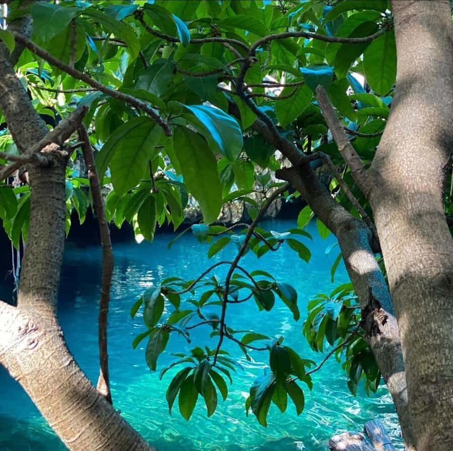 Zanzibar: Blue lagoon, Starfish, Paje Beach and Maalum Cave - Blue Lagoon Snorkeling: Clear Water Moments (and a Boat Ride)