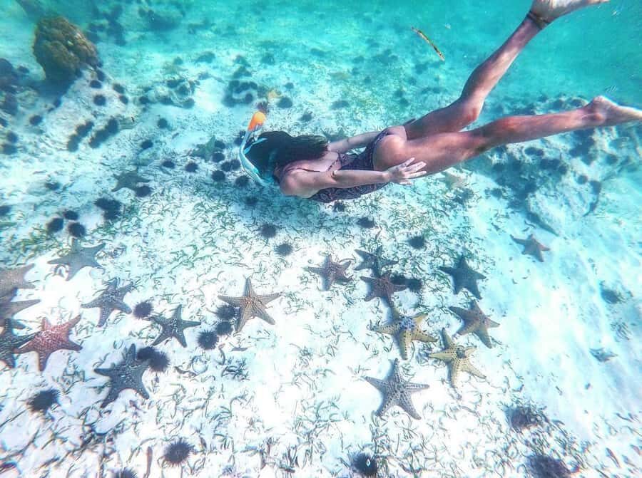 Zanzibar: Blue lagoon, Starfish, Paje Beach and Maalum Cave - The Rock Restaurant Photo Stop: Ocean Views, Quick Break