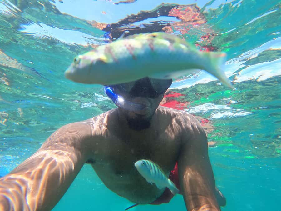 Zanzibar: Blue lagoon, Starfish, Paje Beach and Maalum Cave - What’s Included (and What You’ll Still Want to Plan For)